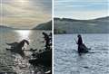 Has Nessie taken up paddleboarding? Tourists delighted with special Loch Ness sighting 