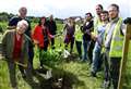 Tree-planting day steps up eco-initiative to boost biodiversity in Culloden Park