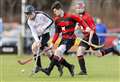 Regional leagues to be established to bring shinty back