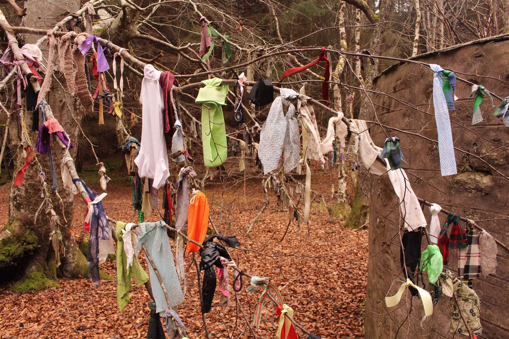 Colourful rags adorning the tree branches close to the clootie well are said to bring good luck.