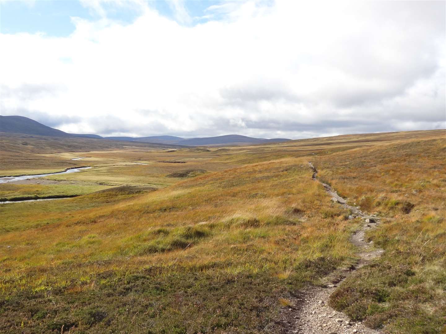 A lovely singletrack path crosses the moor from Geldie Lodge towards the River Eidart.