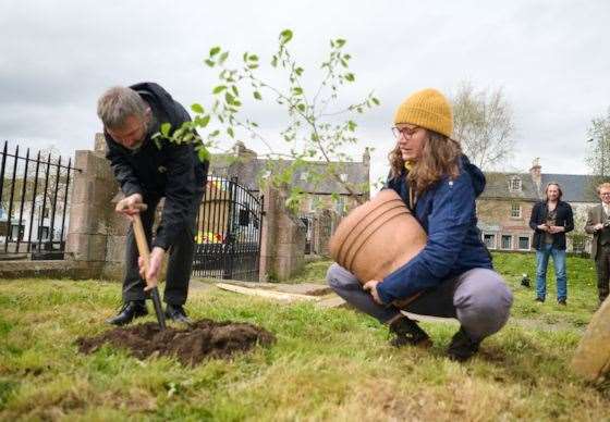 New hope as Beauly sapling is planted.