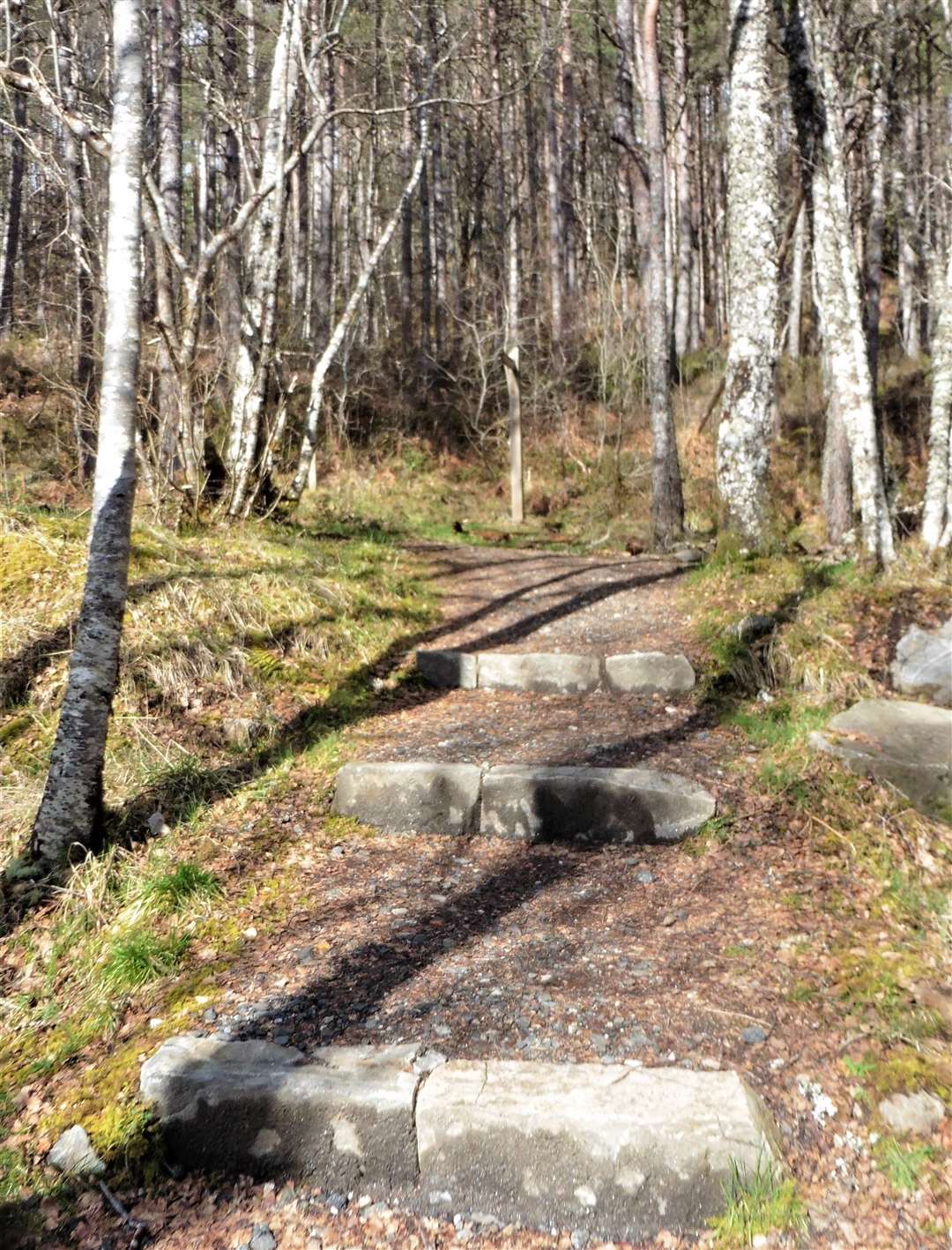 Paths in Glen Affric have been upgraded.