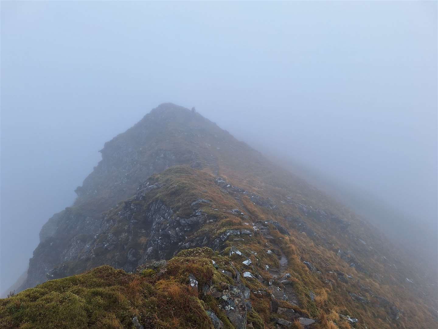 On the South Glen Shiel Ridge – with nothing much to see!
