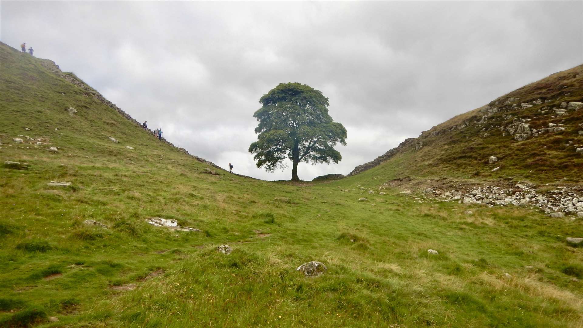 The classic view of Sycamore Gap. Picture: Douglas Law